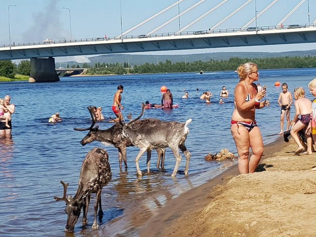 Подборка интересных и веселых картинок
