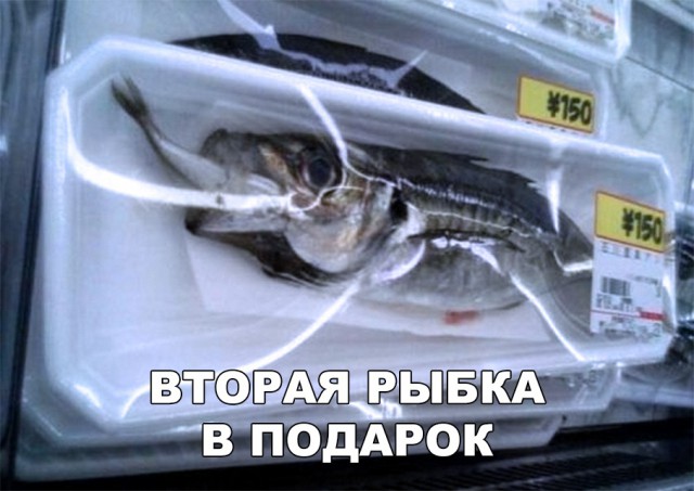 Прикольные картинки абавсём