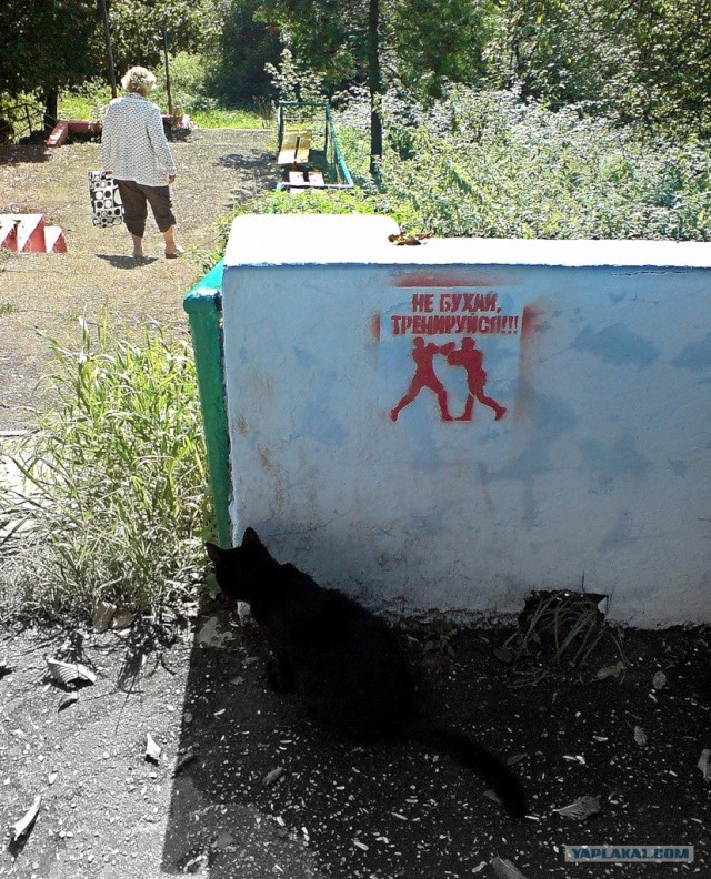 Котовторник 06.09.11