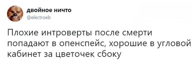 Ситуации, которые действуют на интровертов как бальзам на душу