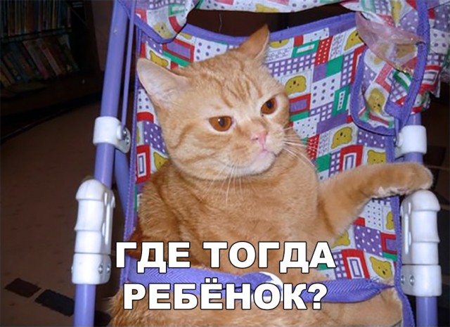 Немного милоты