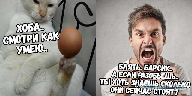 Немного картинок на вечер