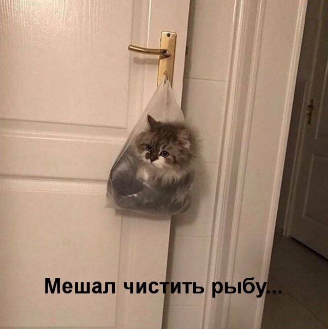 Немного картинок в эту субботу