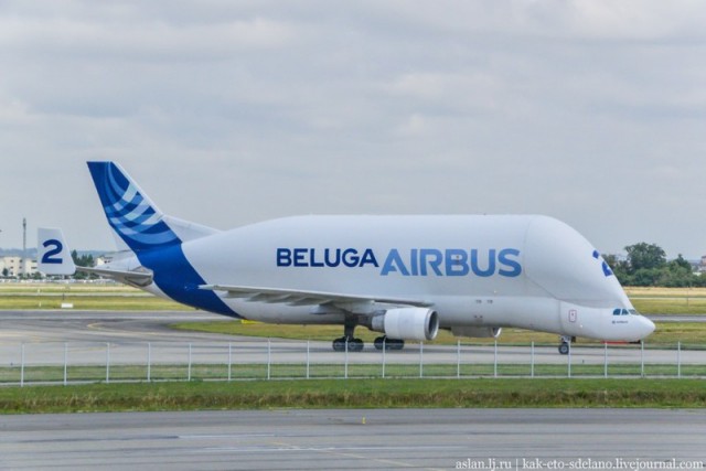 Задаем дурацкие вопросы стюардессе