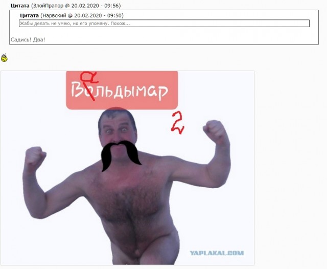 Голый морж