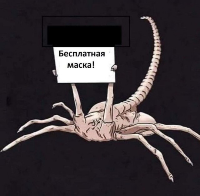 Немного картинок для настроения 08.04.20