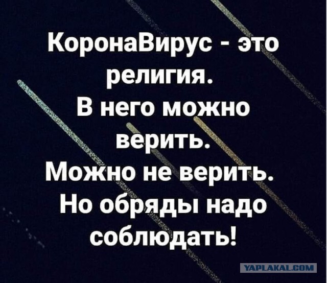 Зх, как могём, а могём мы много. 13 шт.