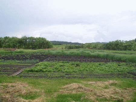 Фотожаба: Сельхоз спецназ