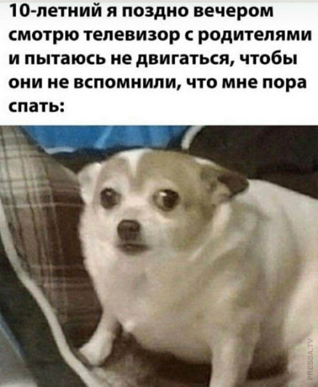 Картинки и мемы для настроения 014