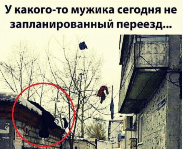 Фотки и картинки: юморные и красивые, забавные и милые 28.12.20