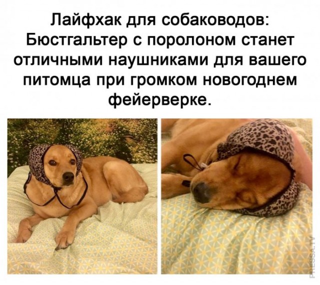 Картинки и мемы для настроения 030