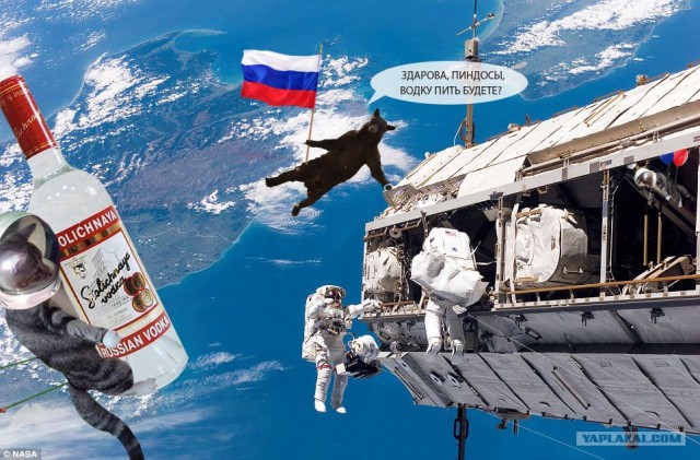 Мишка летун!