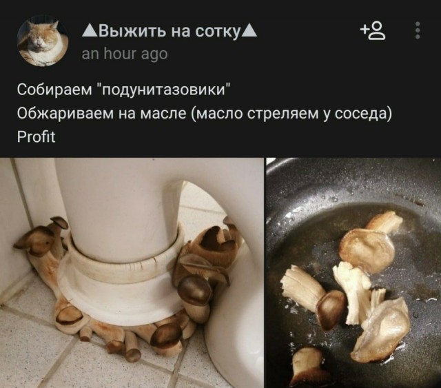 Весёлый полтишок 14.03