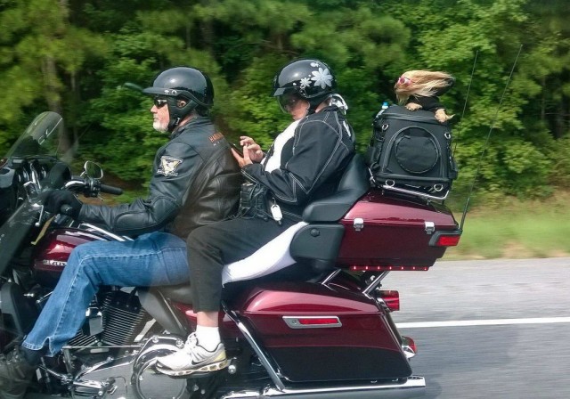 Калейдоскоп картинок