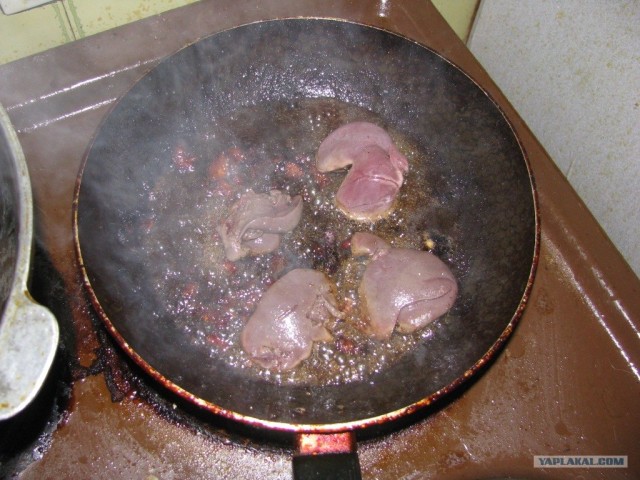 Заяса-выбегаяса...