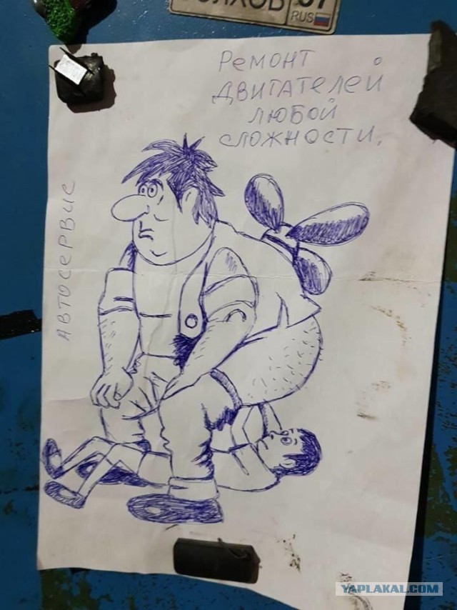 Всяческие картинки 29.06.2021