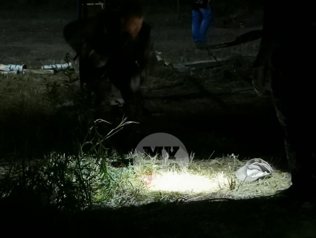 Пьяный пенсионер застрелил двухлетнюю девочку и ранил её мать в деревне Панарино Щекинского района