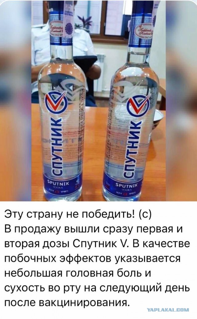 Спутник ВИ