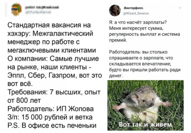 Кретинизмы из сети 01.09.2021