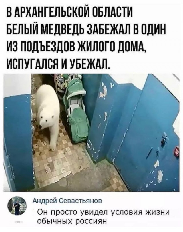 Картинки и мемы, всем прекрасных выходных