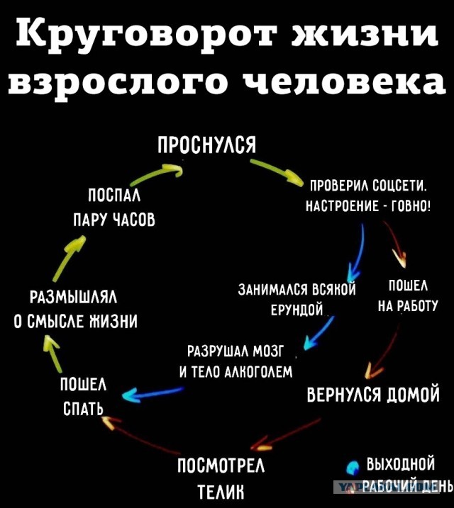 Свинегрет: картинки, надписи и прочее "на", №33