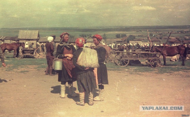 20 век в цвете. СССР 1951 г. Наша страна 70 лет назад