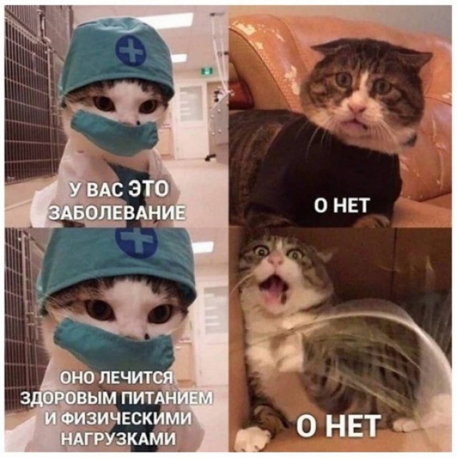 Картинки и буквы 15.07.22