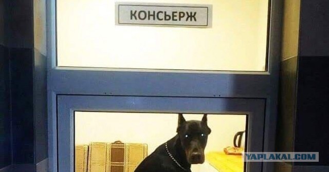 Зачем на крышах домов сталинской эпохи строили загадочные домики-башенки