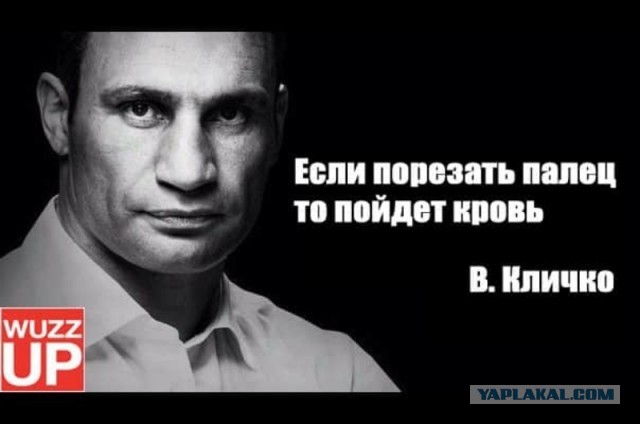 Капитан Очевидность продолжает вести наблюдение