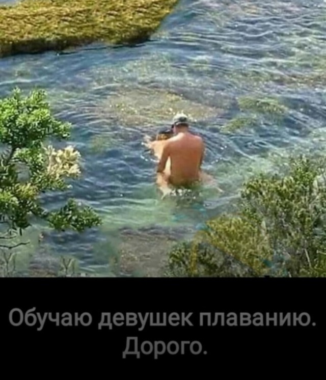 Так себе картинки 18.06.22