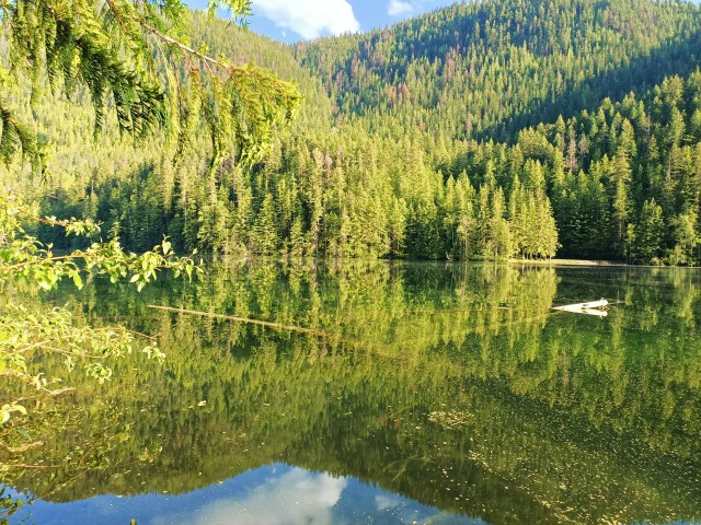 Просто фотки с телефона