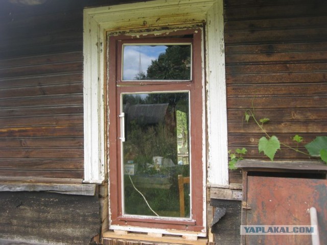 Жизнь домашнего приюта для котеек 410