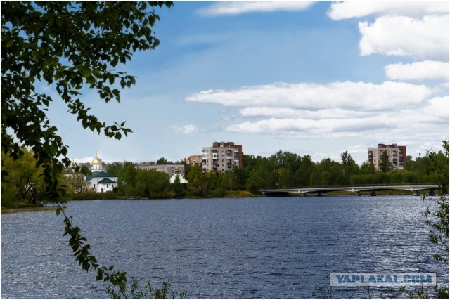 В Санкт-Петербурге во время очистки пруда достали сумку с женскими ногами