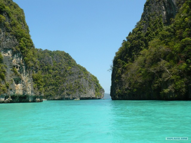 Немного Тая