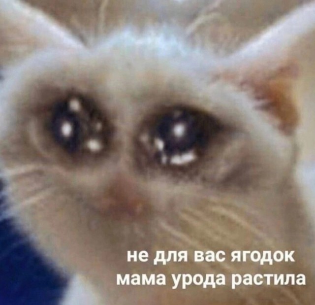 Всего понемногу. Часть 12.