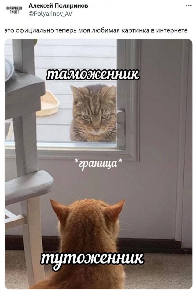 Нуштош 08.03.23