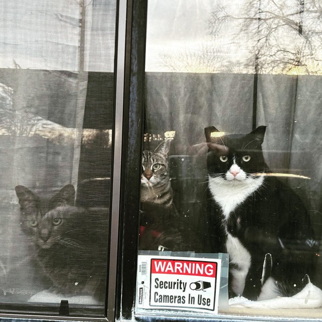 Подборка интересных и прикольных фото из Сети 01.04.23