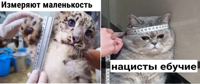 Так себе картинки 23.06.23