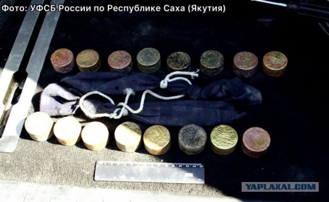 Житель Ингушетии нашел около 8 кг золота у автодороги «Колыма» в Якутии и попытался скрыть это