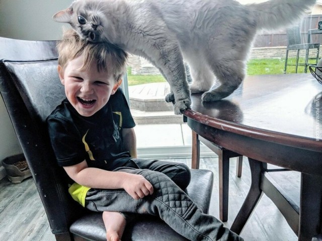 Подборка интересных и веселых картинок