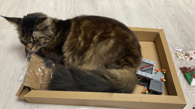 Ловушки для котов