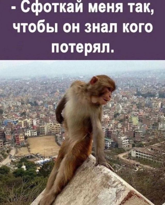 Так себе картинки 28.07.23