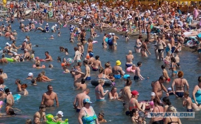 Почему в Черном море не водятся акулы, если в Средиземном их полно?