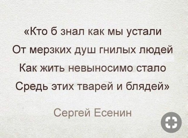 В Москве двое мужчин с ножами и битами напали на двух женщин, которые пошли за грибами. Они перепутали их с закладчиками