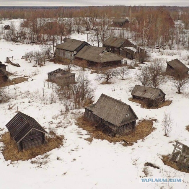 Из Москвы в деревню навсегда
