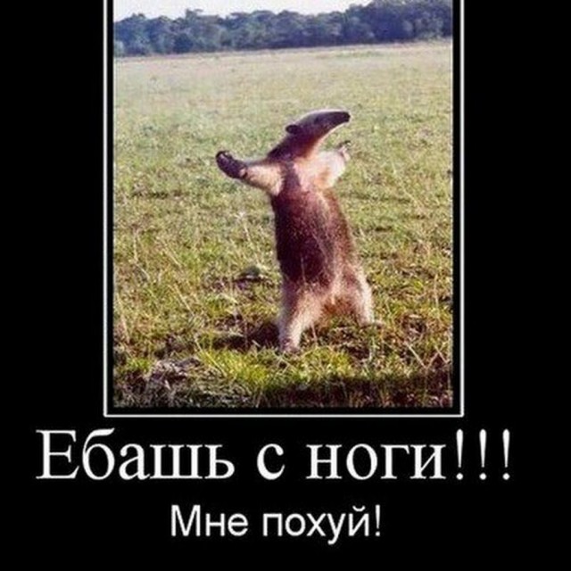 А действительно,на кого сейчас молодежи равнятся?