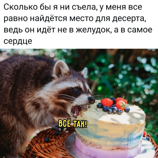 Весёлый полтишок 29.01.24