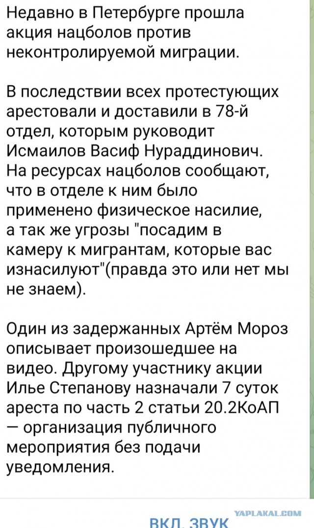 Полиция в Петербурге проводит обыск в «бункере» нацболов.