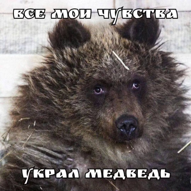 Всего понемногу. От 22.05.2024