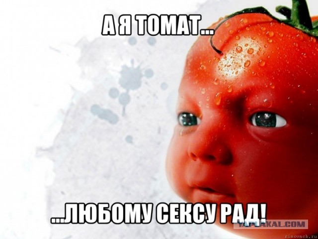 Аметист, блеа!